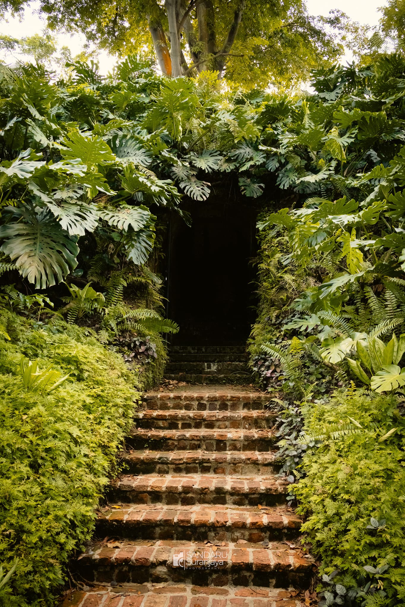 ypewenrjzdf0yim1gjjj