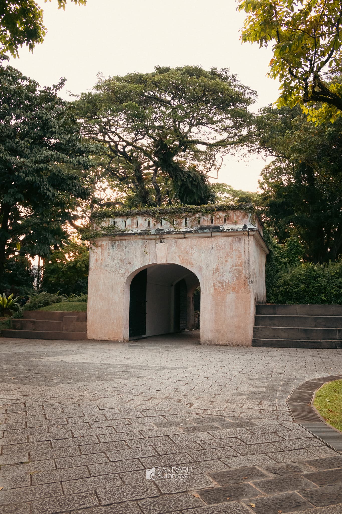 raicbhlvp9p3iz7yuvn1