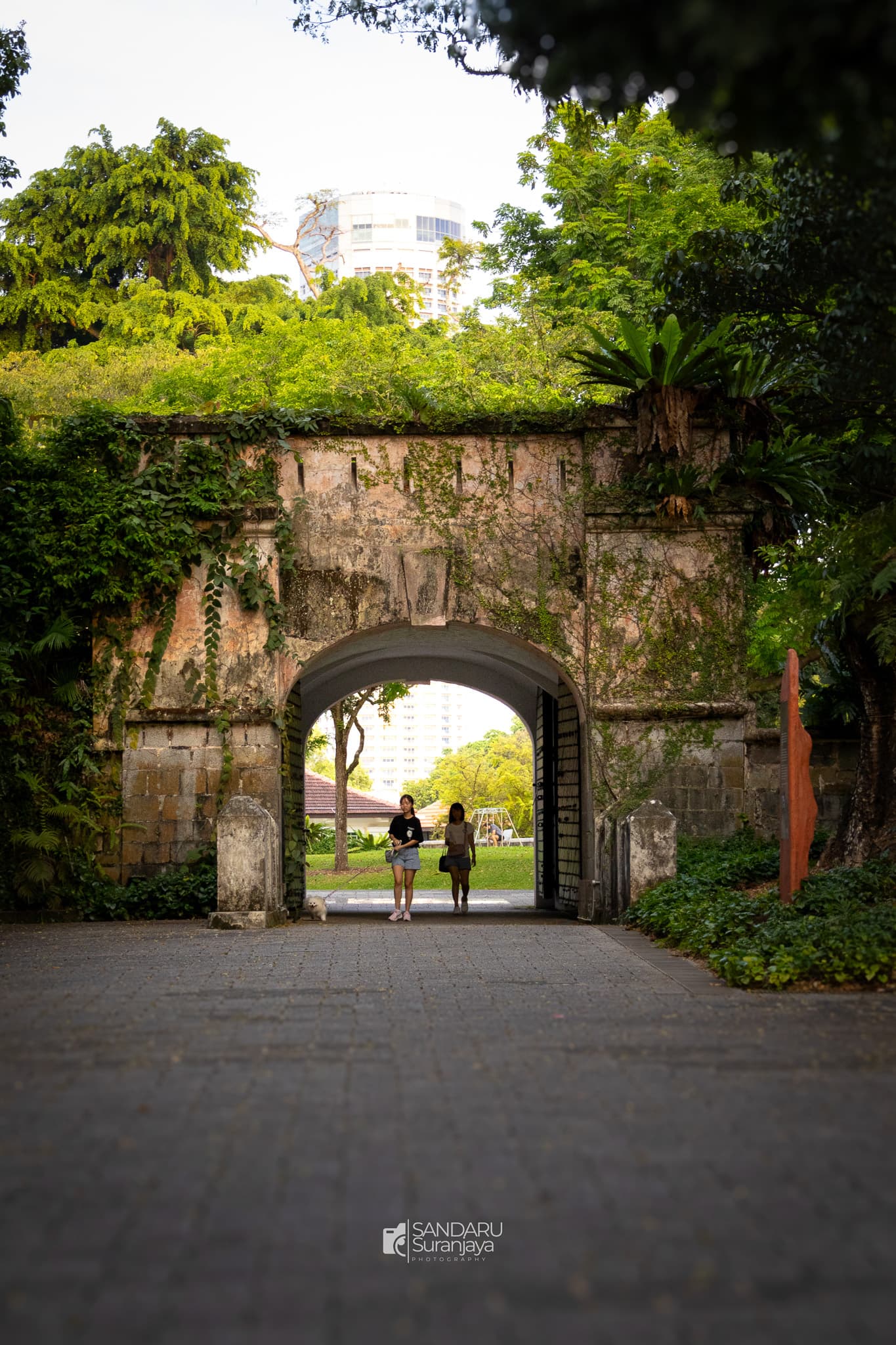 zckctmz0qfqioaqg0pq7